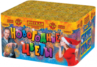 Новогодние цветы Фейерверк купить в Северобайкальске | severobajkalsk.salutsklad.ru