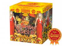 Красивая жизнь Фейерверк купить в Северобайкальске | severobajkalsk.salutsklad.ru