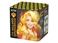 С огоньком! Фейерверк купить в Северобайкальске | severobajkalsk.salutsklad.ru