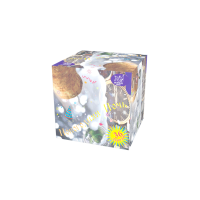 Новогодняя ночь Салют купить в Северобайкальске | severobajkalsk.salutsklad.ru