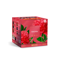 Пионы Салют купить в Северобайкальске | severobajkalsk.salutsklad.ru