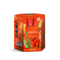 Тюльпаны Салют купить в Северобайкальске | severobajkalsk.salutsklad.ru