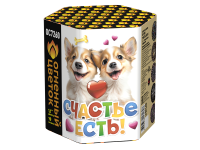 Счастье есть! Салют купить в Северобайкальске | severobajkalsk.salutsklad.ru