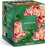 Хризантемы Фейерверк купить в Северобайкальске | severobajkalsk.salutsklad.ru