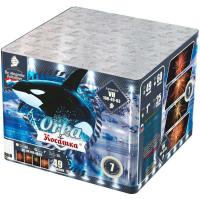 Косатка Фейерверк купить в Северобайкальске | severobajkalsk.salutsklad.ru