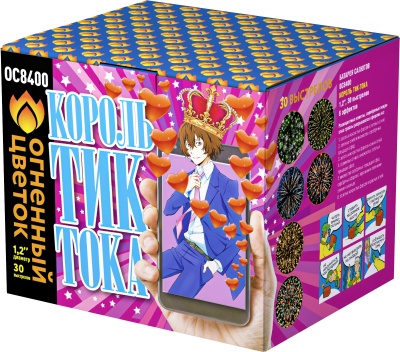 Король Тик-Тока Батарея салютов купить в Северобайкальске | severobajkalsk.salutsklad.ru