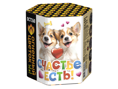 Счастье есть! Салют купить в Северобайкальске | severobajkalsk.salutsklad.ru