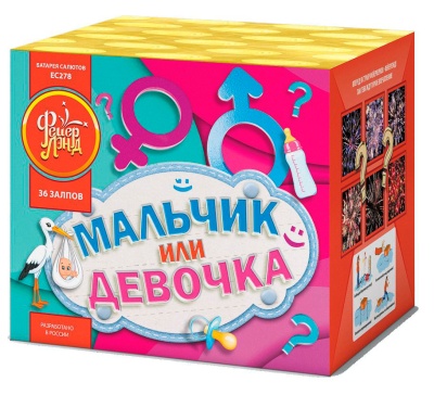 Мальчик или девочка М Фейерверк купить в Северобайкальске | severobajkalsk.salutsklad.ru